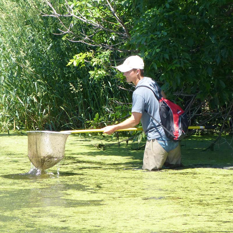 Colin Brocka In The Field