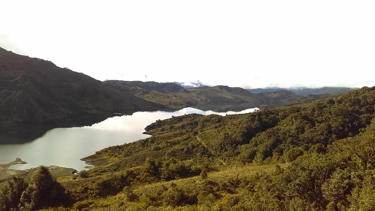 Wildlife Conservation Society Colombia