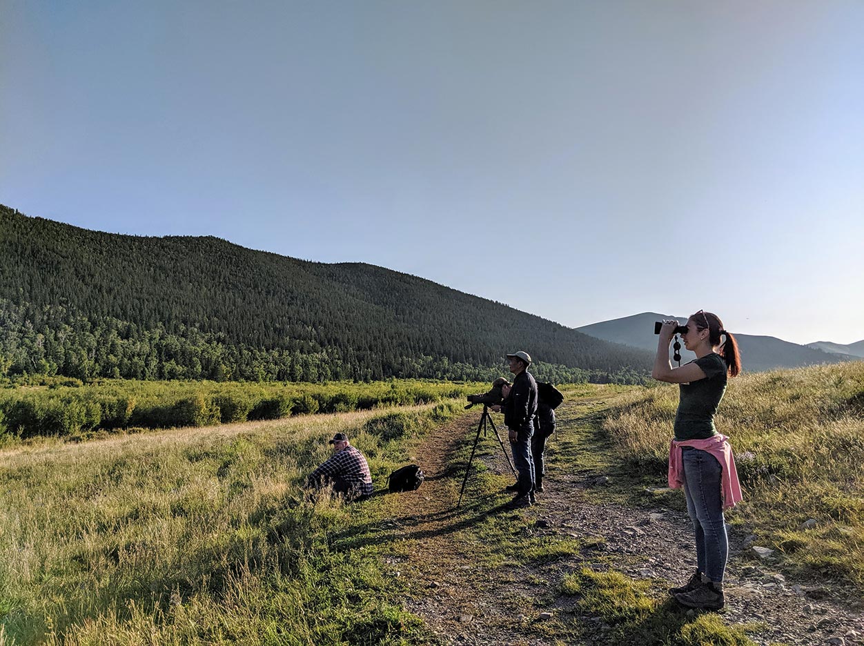 Three people look through binoculars toward a mountain in the background