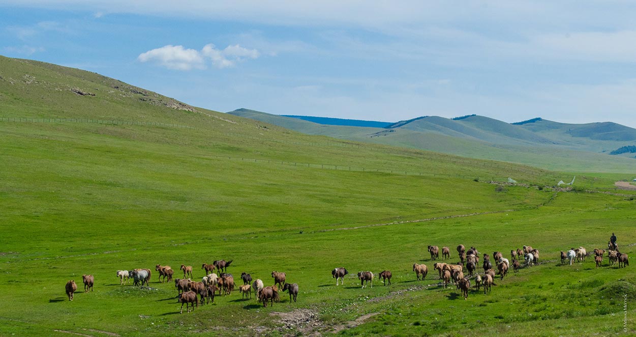 Mongolia