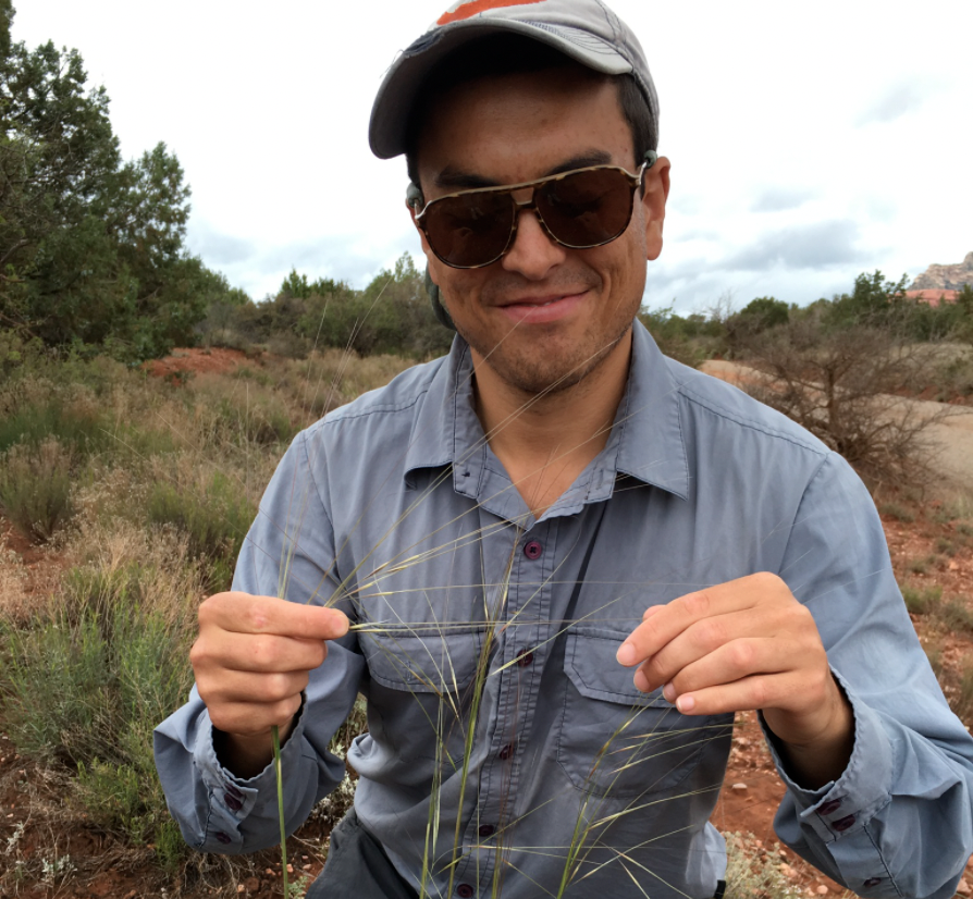Abercrombie ID'ing grass in the field