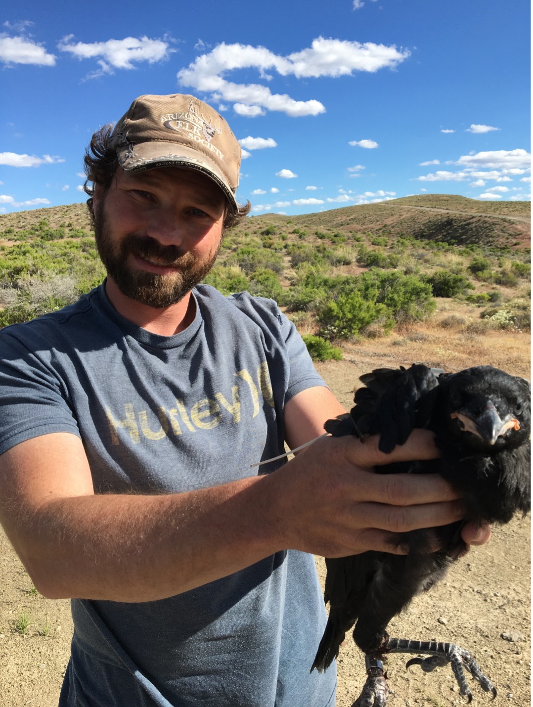 Jeff Dolphin handling a raven
