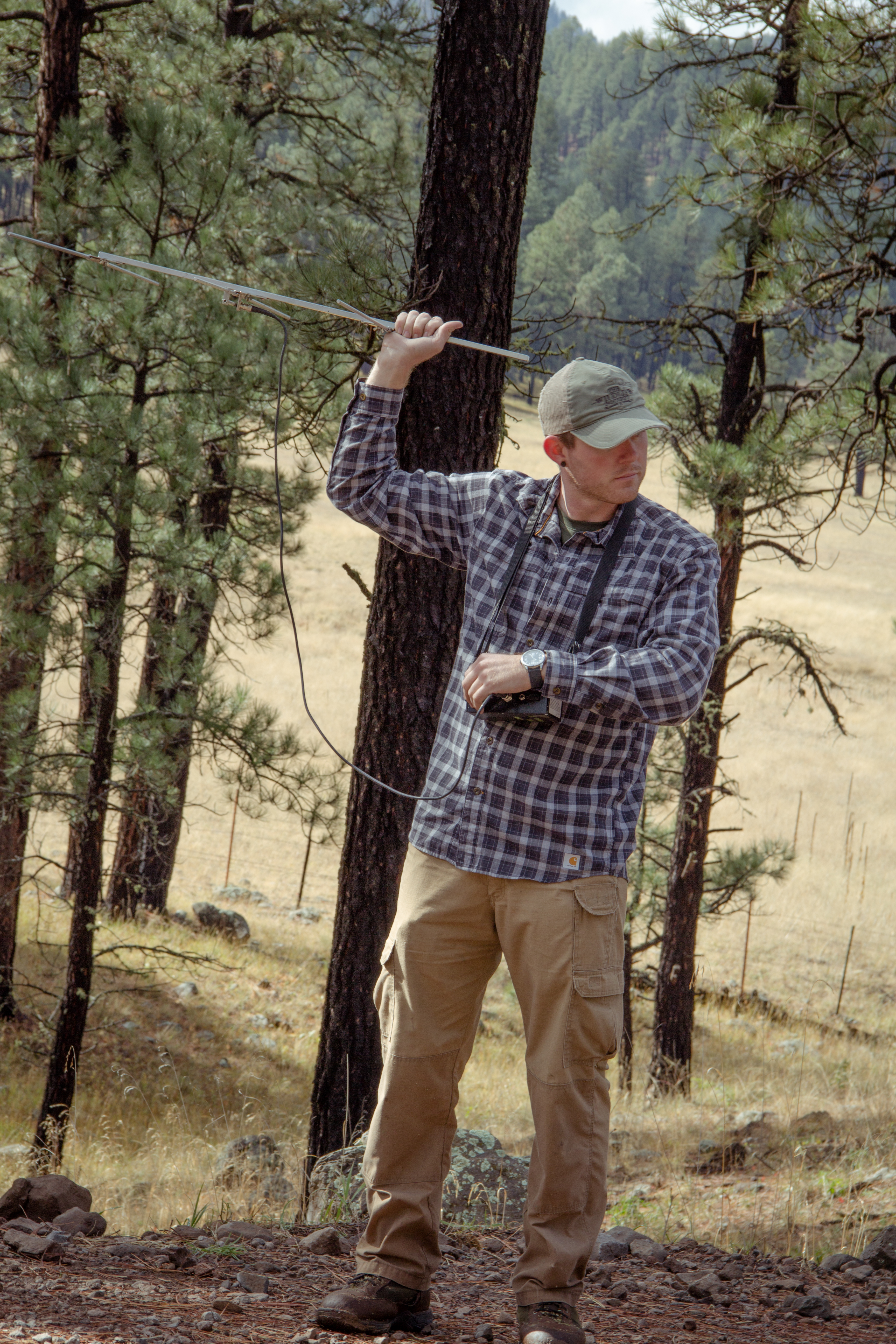 Dutt tracks gray foxes