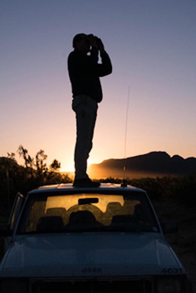 Max Mazella searching for squirrels at sunset