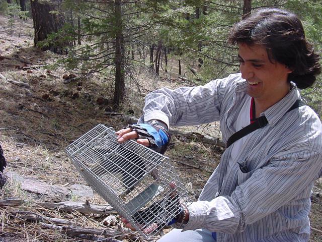 Ramos-Lara sets a small mammal trap